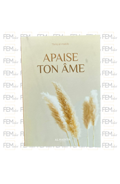 Apaise ton âme - Târiq al-Habîb - al-Hadîth