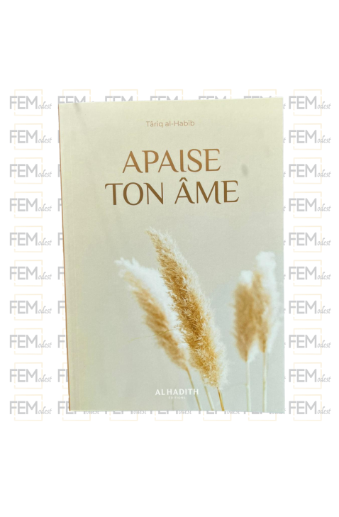 Apaise ton âme - Târiq al-Habîb - al-Hadîth